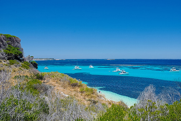 Rottnest Island - Perth - WA